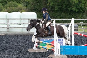 Class 3 -  Fences not above 2'3